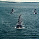 Illustration for article titled Sweden Has A Sub That's So Deadly The US Navy Hired It To Play Bad Guy